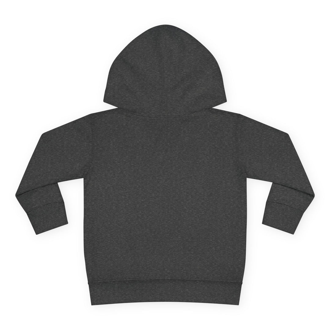 Native ‘Culture Matters’ Toddler Hoodie