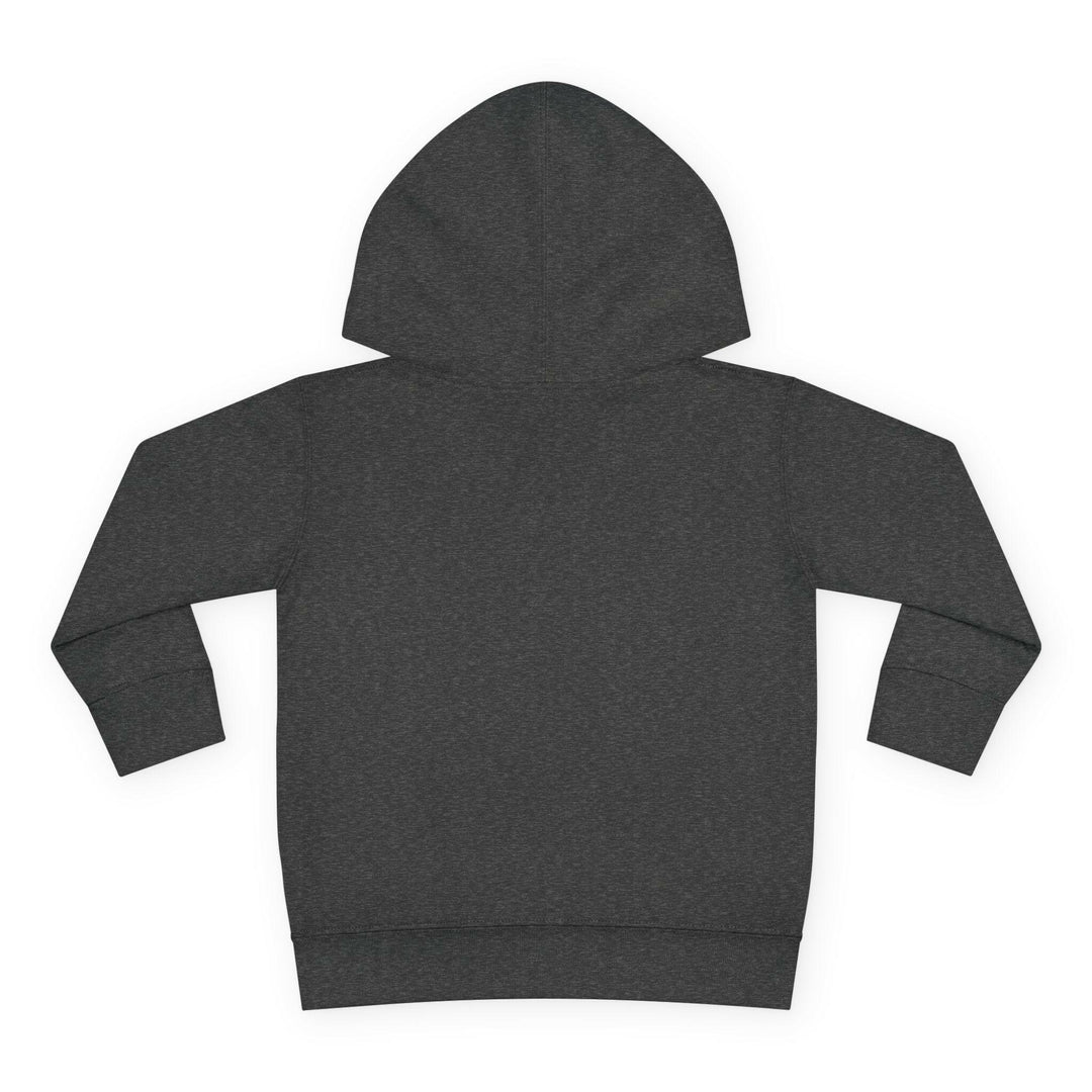 'Funky Fresh Fierce' Toddler Hoodie