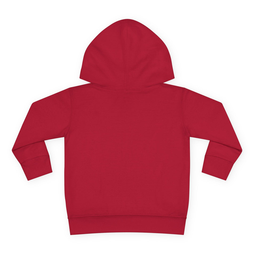 Native ‘Culture Matters’ Toddler Hoodie