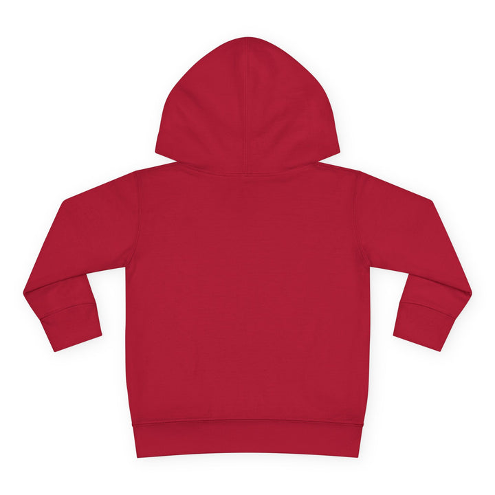 Native ‘Culture Matters’ Toddler Hoodie