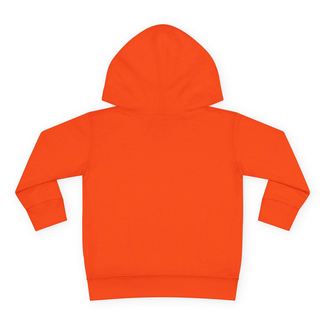 Trendy Toddler Hoodie with Ancestors Energy Design