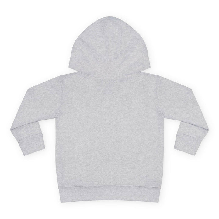 'Funky Fresh Fierce' Toddler Hoodie