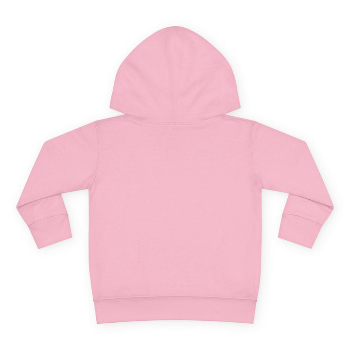 'Funky Fresh Fierce' Toddler Hoodie