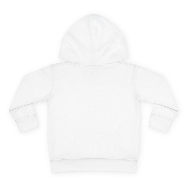 Native ‘Culture Matters’ Toddler Hoodie