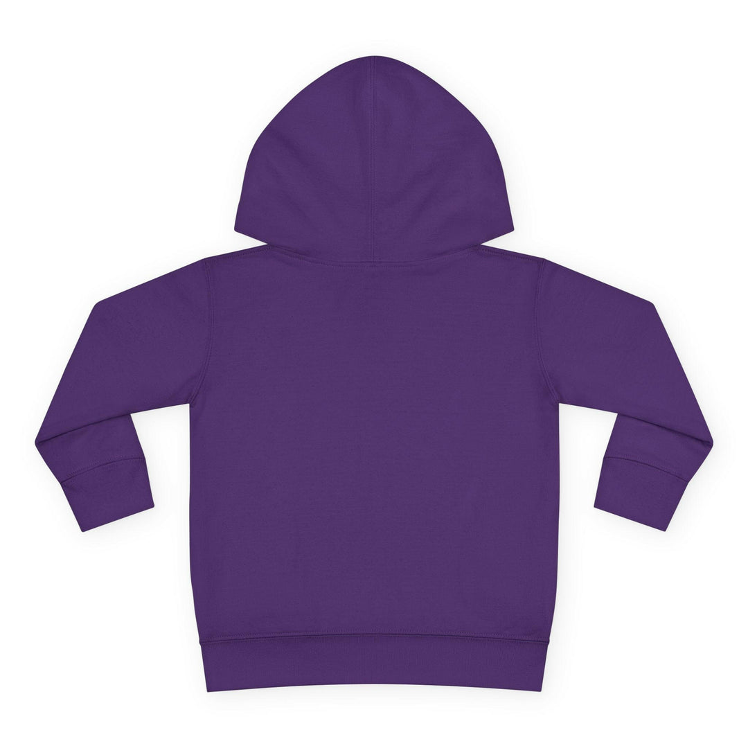 'Funky Fresh Fierce' Toddler Hoodie