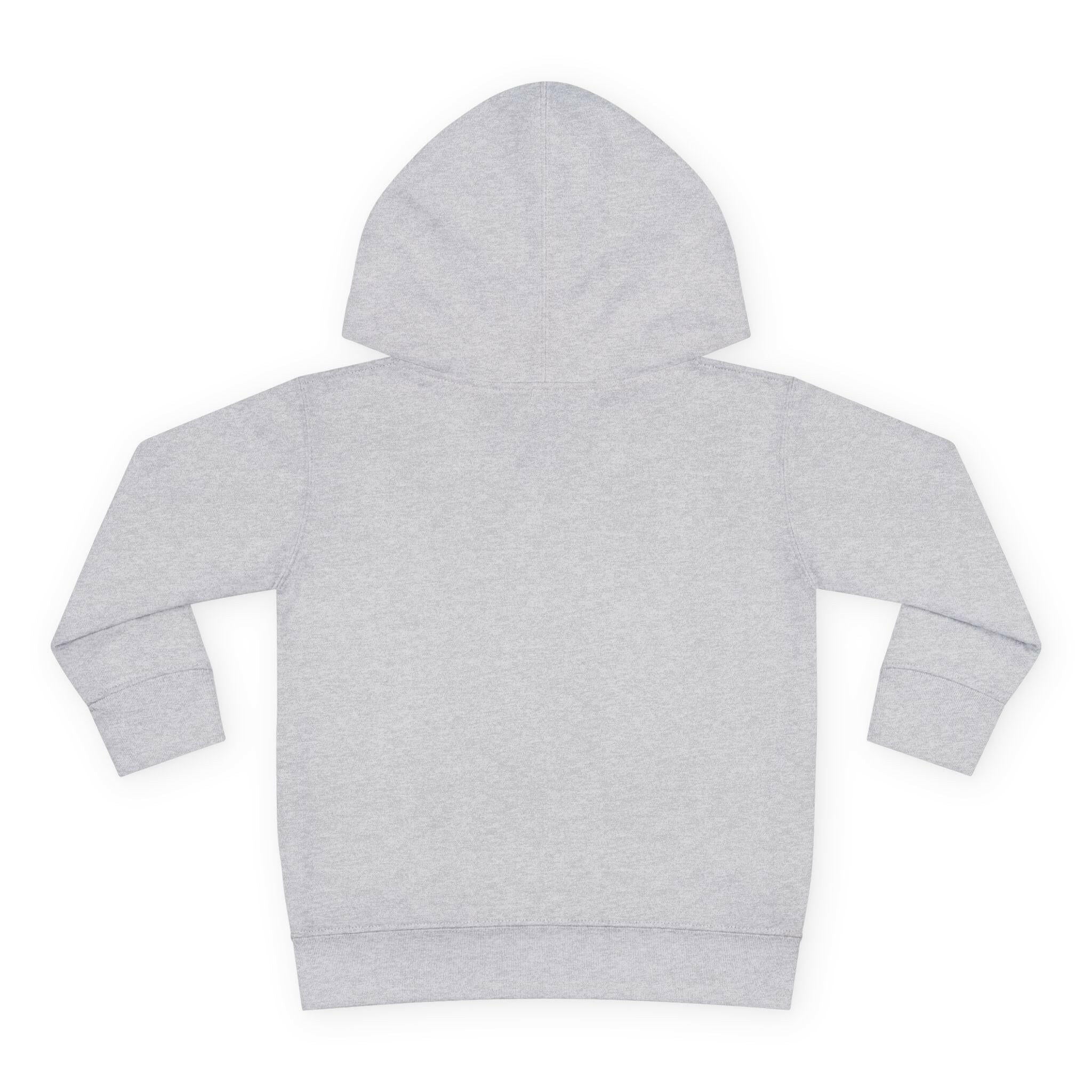 'BLACK Brilliance' Toddler Hoodie - MKCM Modern Designs