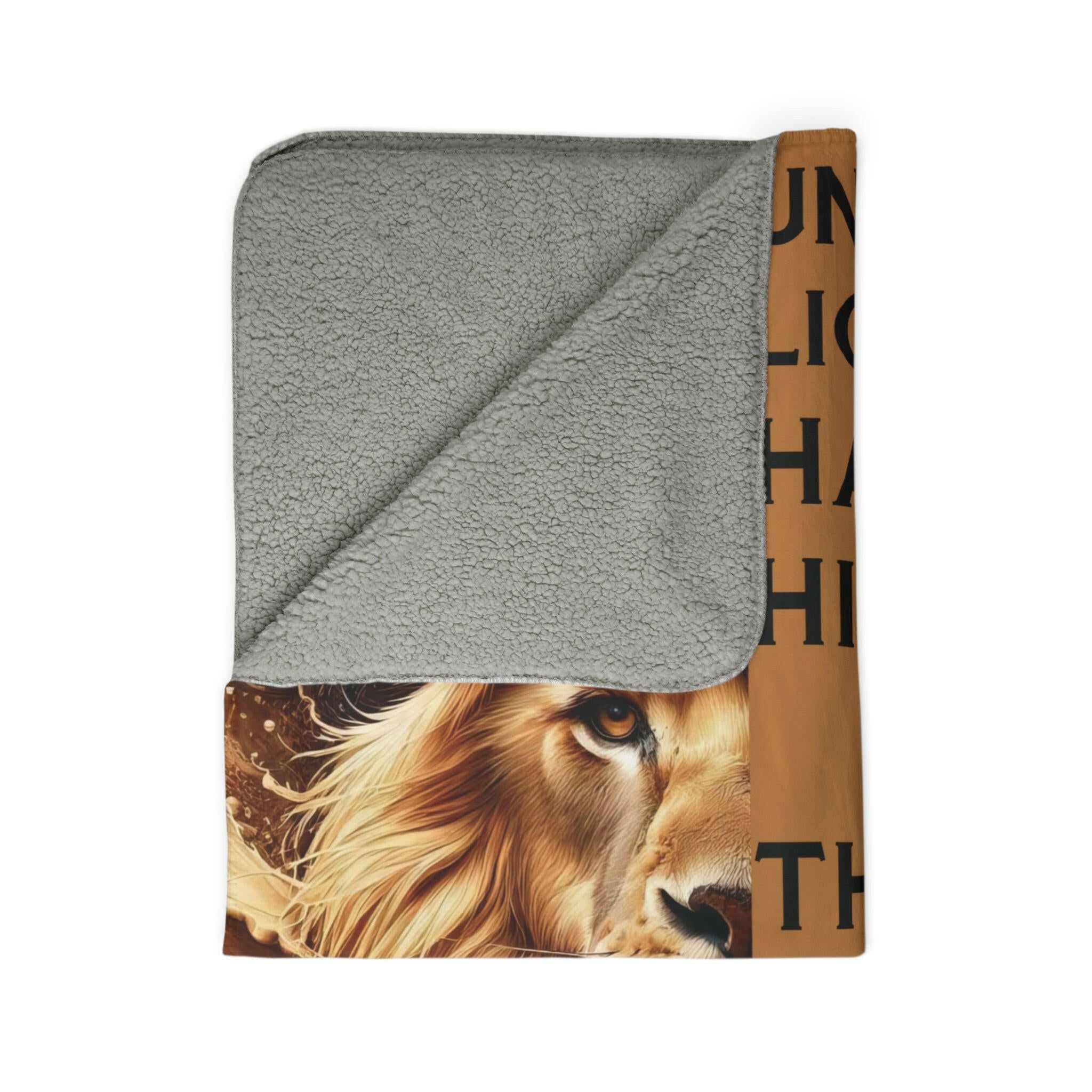 ‘Lions’ Historian' Fleece Sherpa Blanket - MKCM Modern Designs