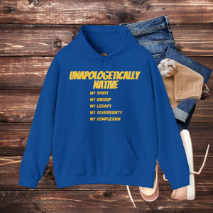 'Unapologetically NATIVE' Men's Hoodie - MKCM Modern Designs